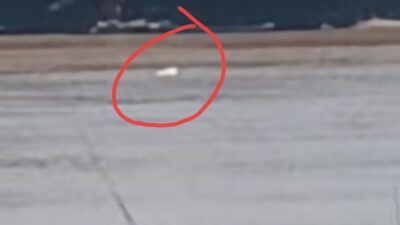 Viral Misteri Pelayaran Petih Warna Putih di Sungai Musi