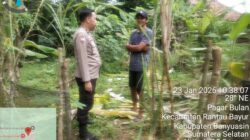 Bhabinkamtibmas Polsek Rantau Bayur Dorong Warga Desa Tebing Abang Mandiri Pangan