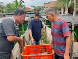 BUMDes Sinar Bulan Desa Pagar Bulan Sukses Panen Perdana Ikan Lele