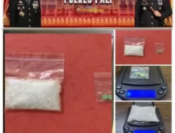 Menyamar Jadi Pembeli, Polisi Ringkus Pengedar Sabu 25 Gram di Penukal PALI