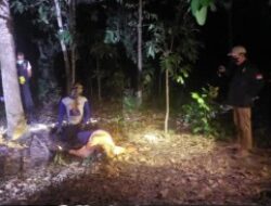 Polsek Banyuasin III Bersama Tim Inapis Polres Banyuasin lakukan Olah TKP Penemuan Dua Jenaza di Sembawa